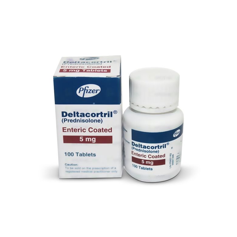 prednisolone preis