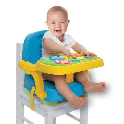 Winfun Musical Baby Booster Seat