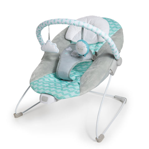 Ingenuity Bouncity Bounce Vibrating Deluxe Bouncer Goji