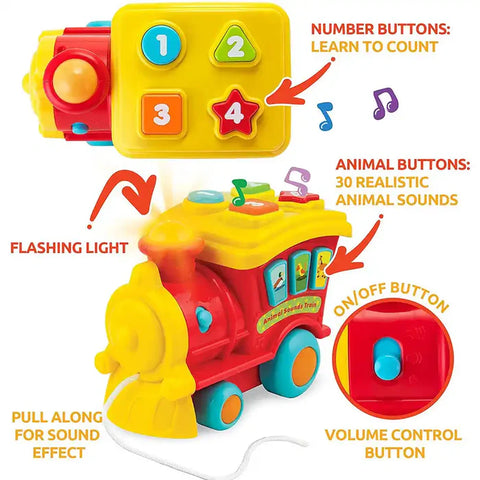 Animal Sounds Train