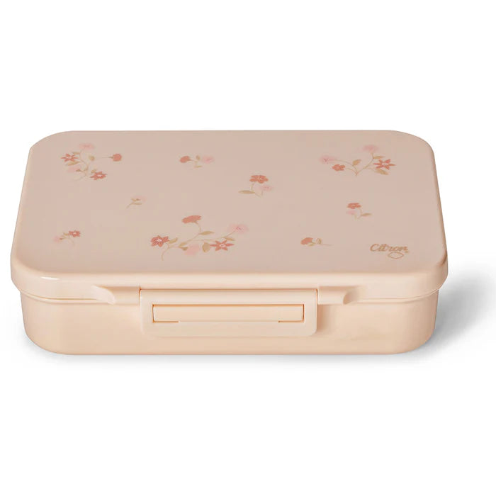 Citron 2023 Tritan Lunchbox Flower | Uncategorized Citron 2023 Tritan Lunchbox Flower | Uncategorized