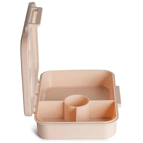 علبة غداء سيترون 2023 تريتان فلاور