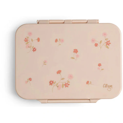 علبة غداء سيترون 2023 تريتان فلاور