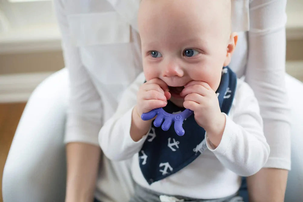 Dr.Browns Flexees Friends Octopus Teether (Purple) | Teethers Dr.Browns Flexees Friends Octopus Teether (Purple) | Teethers