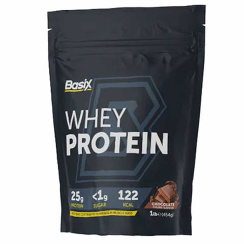 Basix Whey Protein 1 Lb Chocolate Chunk Flavor