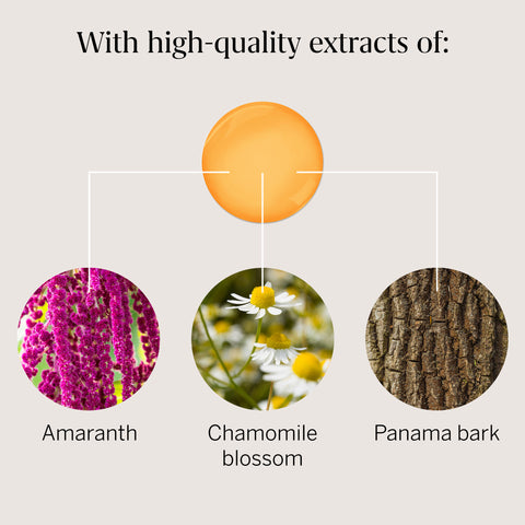 Rausch Chamomile - Amaranth Repair Shampoo 200Ml