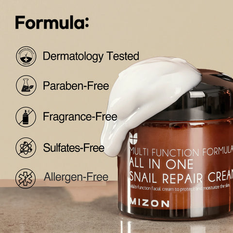 Mizon All in One Snail Repair Cream 75ml