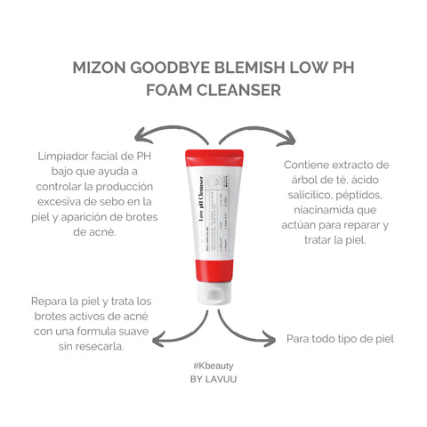 Mizon Goodbye Blemish Low pH Cleanser 100ml