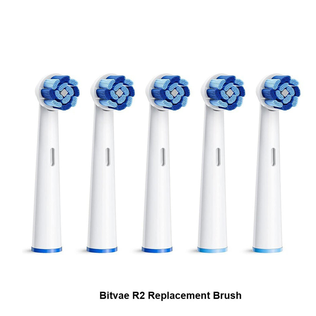 Bitvae R2 Replacement Brush 5's | Toothbrushes Bitvae R2 Replacement Brush 5's | Toothbrushes