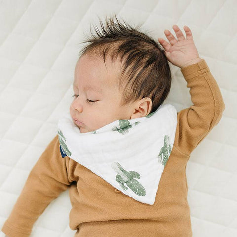 Babe Au Lait Saguaro Oh So Soft Muslin Bandana Bib