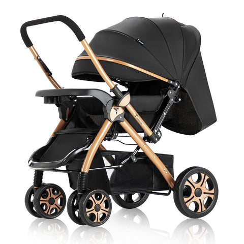 Teknum Reversible Trip 2 Stroller (Black)